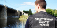 В Белом Городке не решили проблему бродячих собак даже после поручения Бастрыкина - Афанасий-биржа