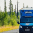 Фото: Дания Соболева/«Ямал-Медиа» - Ямал-Медиа