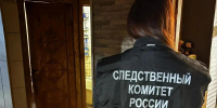Не менее 50 ножевых ранений: великолучанин обвиняется в убийстве отчима - Pln-Pskov.Ru