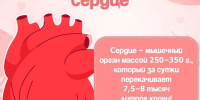 Как уберечь сердце - Газета Кизилюртовские вести