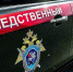 Следком расследует дело о гибели туристки после нападения медведя на Алтае - Комсомольская Правда