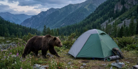 Медведь вытащил из палатки туристку и растерзал её - МОЁ! Online