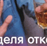 Употребление алкоголя: в чем опасность для здоровья? - Город Новотроицк