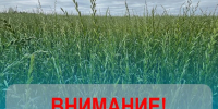 Обработка полей. - Холмогорский муниципальный округ