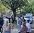 ЛДПР поддержала инициативу калининградцев по наведению порядка во дворах - ЛДПР