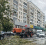 Упавшее на пути дерево остановило трамваи на Советском проспекте - Город Че
