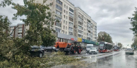 Упавшее на пути дерево остановило трамваи на Советском проспекте - Город Че