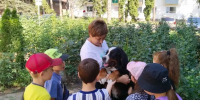 ДЕНЬ БОЛЬШИХ УШЕЙ И ДОБРЫХ ЛАП - Администрация г.п. Тихорецк