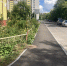 В рамках областного проекта «Благодвор» в этом сезоне уже благоустроена 231 территория - Министерство ЖКХ Владимирской области