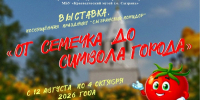 Выставка "От семечка до символа города" - Краеведческий музей
