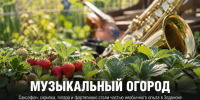 В Задонске появился «музыкальный огород»: Николай Струков устроил эксперимент с музыкой и растениями - Газета Задонская правда