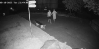 В Пензе подростки устроили опасный квест среди диких зверей - Progorod58.Ru