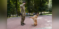 Кинолог Управления Росгвардии по Курской области присоединился к всероссийской мемориальной акции «День фронтовой собаки» - Росгвардия