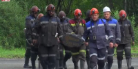 Видео - ТВН