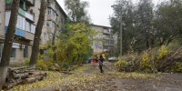 В Волжском потратят два миллиона рублей на уход за деревьями и кустарниками - Volzsky.Ru