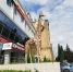 В Орле заметили жирафа и зебр - OrelGrad.Ru