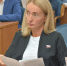 Председатель Воронежской городской Думы, Герой России Андрей Дьяченко провел Совет Думы - Городская Дума