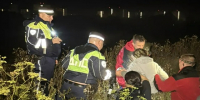 Спасатели нашли пропавшую 79-летнюю женщину у озера в Самарской области - Самарская Газета