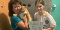 GAW - Сетевое издание Арбуз