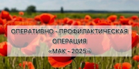 Оперативно-профилактическая операция «МАК-2026» - Администрация Каменского района