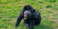 Тематическое фото Мария Смитюк, ИА PrimaMedia - SevastopolMedia