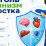 Алкоголь и подростковый организм: опасность, которую нельзя недооценивать - Детская клиническая больница