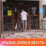 Поход к ветеринару: как избежать стресса? - Управление ветеринарии