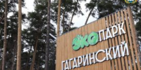 От экопарков до мини‑стадионов: в Шадринске активно развивают места для занятий спортом - Новый мир