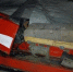 1,1 млн рублей за двух лосей: в Омской области браконьер лишился машины и снегохода - Om1.Ru