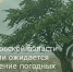 В Ростовской области местами ожидается ухудшение погодных условий - Зерноградский район