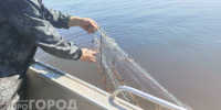 До 5 лет тюрьмы грозит жителю Павловского района из-за нескольких рыб, пойманных незаконным способом - ProGorodNN.Ru