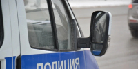 В Новосибирске мужчина напал со складным стулом на женщину с собакой - КП-Новосибирск