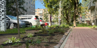 Гатчинцы превращают город в сад - Гатчинская служба новостей