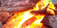 Повышенный класс пожарной опасности сохраняется в нескольких районах Кольского Заполярья - Мурманский вестник