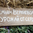В Тверской области стартовала региональная акция «Семьям Верхневолжья – урожай от сердца» - Газета Старицкий Вестник