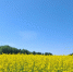 Объявление - Navigator-Kirov.Ru