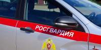 В Калуге Росгвардейцы задержали нетрезвого мужчину нарушавшего общественный порядок в подъезде жилого дома - Росгвардия