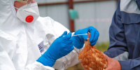 Учения управления ветеринарии в Бийском районе - Газета Бийский рабочий