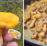 Простой и вкусный рецепт | Источник: читательница 29.RU - 29.Ru