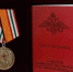 Медаль «За помощь и милосердие» Минобороны РФ вручили медсестре из Воронежа - Обозреватель.Врн