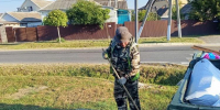 img - Администрация Крымского района