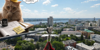 Альтернативу метробусу предложил Воронежу мэрский кот Пузеслав - Bloknot-Voronezh.Ru