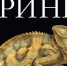 Фото издательства - Вологда-поиск