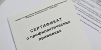 В Таганроге в сентябре стартует массовая вакцинация против гриппа - Комсомольская правда