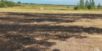 В Курганской области из-за неисправной техники произошёл крупный ландшафтный пожар - Новый мир