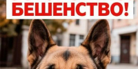 ОСТОРОЖНО! БЕШЕНСТВО! - ТОС Омска