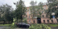 В Петербурге расчищают дороги и трамвайные пути от 20 поваленных деревьев - Neva.Today