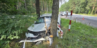 Женщина на Rav4 влетела в дерево под Грязями - LipetskNews.Ru