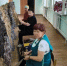 Фонд "ПОМОГАЕМ" из Комсомольска-на-Амуре вышел в полуфинал Международной Премии #МЫВМЕСТЕ - Комитет по делам молодежи