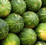 Фото: pixabay.com | Жители Приморья купили арбуз из Азербайджана и обомлели - PrimPress.Ru